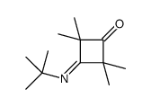 3-tert-butylimino-2,2,4,4-tetramethylcyclobutan-1-one