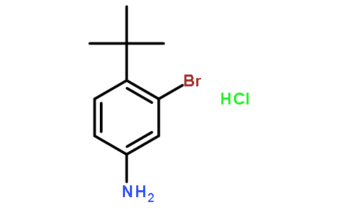 3-溴-4-(叔丁基)苯胺盐酸盐