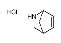5-azabicyclo[2.2.1]hept-2-ene,hydrochloride