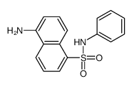 5-amino-N-phenylnaphthalene-1-sulfonamide
