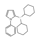 N-苯基-2-二环己基膦吡咯