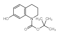 7-羟基-3,4-二氢-1(2H)-喹啉羧酸叔丁酯