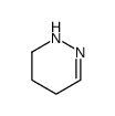 1,4,5,6-tetrahydropyridazine