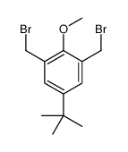 1,3-bis(bromomethyl)-5-tert-butyl-2-methoxybenzene