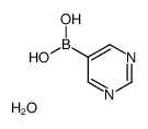 嘧啶-5-硼酸半水化合物