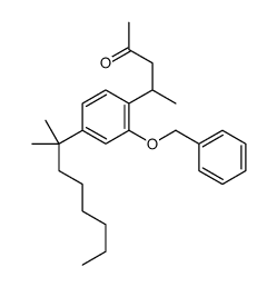4-[4-(2-methyloctan-2-yl)-2-phenylmethoxyphenyl]pentan-2-one