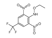 N-ethoxy-2,6-dinitro-4-(trifluoromethyl)aniline