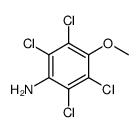 2,3,5,6-四氯-4-甲氧基苯胺