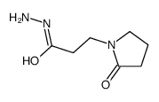 3-(2-oxopyrrolidin-1-yl)propanehydrazide