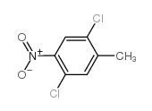 1,4-二氯-2-甲基-5-硝基苯