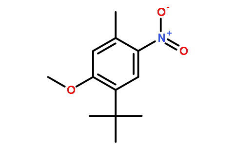 1-叔丁基-2-甲氧基-4-甲基-5-硝基苯