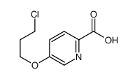 5-(3-chloropropoxy)pyridine-2-carboxylic acid