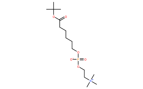 叔-丁基6-(O-磷酰胆碱)羟基己酸酯