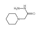 2-piperidin-1-ylacetohydrazide