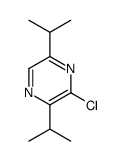 3-chloro-2,5-di(propan-2-yl)pyrazine