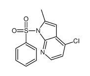 4-氯-2-甲基-1-(苯基磺酰基)-1H-吡咯并[2,3-b]吡啶