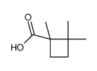1,2,2-trimethylcyclobutane-1-carboxylic acid