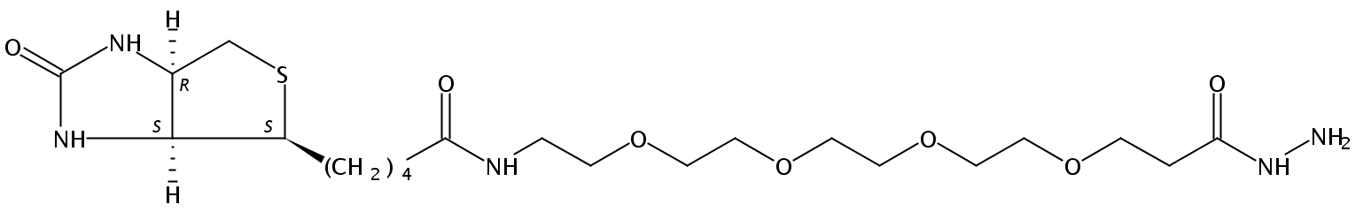 生物素4聚乙二醇肼