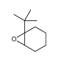 1-叔丁基-7-噁双环[4.1.0]庚烷