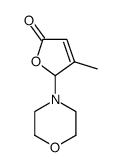 γ-morpholinobutenolide