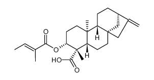 3 Beta-巴豆酰基氧基-等效-贝壳杉-16-烯酸对照品(标准品) | 79406-09-0