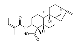 3Alpha-当归酰氧基-9beta-羟基等效贝壳杉对照品(标准品) | 79406-11-4