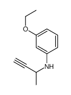 N-but-3-yn-2-yl-3-ethoxyaniline