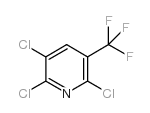 2,5,6-三氯-3-三氟甲基吡啶