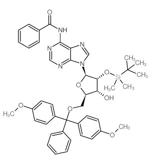 5'-O-（4,4'-二甲氧基三苯甲基）-2'-O-叔丁基二甲基硅基-N6-苯甲酰基腺苷