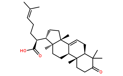 3-氧代甘遂-7,24-二烯-21-酸对照品(标准品) | 82464-35-5