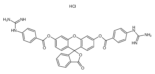 fluorescein di-p-guanidinobenzoate dihydrochloride
