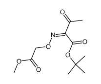 tert-Butyl 2-methoxycarbonylmethoxyimino-3-oxobutyrate