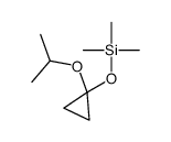 trimethyl-(1-propan-2-yloxycyclopropyl)oxysilane