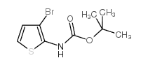 tert-Butyl (3-bromothiophen-2-yl)carbamate