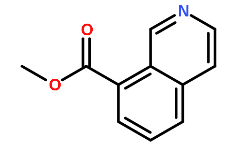 8-异喹啉甲酸甲酯