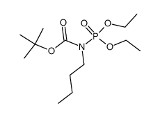 tert-butyl butyl(diethoxyphosphoryl)carbamate