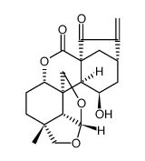 黄花香茶菜甲素  黄花甲素  大萼变型甲素