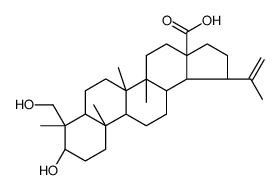 23-羟基白桦酸