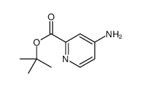 tert-Butyl 4-aminopicolinate