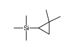 (2,2-dimethylcyclopropyl)-trimethylsilane