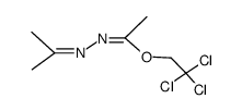 2,2,2-trichloroethylN-(propan-2-ylidene)acetohydrazonate