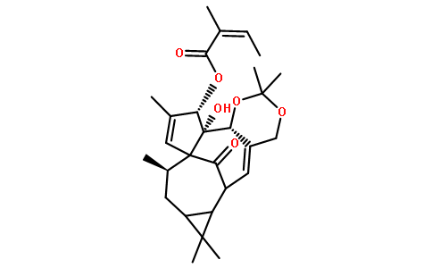 巨大戟醇5,20-缩丙酮3-当归酸酯