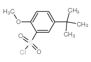 5-叔丁基-2-甲氧基-苯磺酰氯