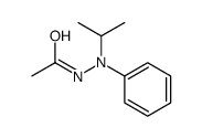 N'-phenyl-N'-propan-2-ylacetohydrazide