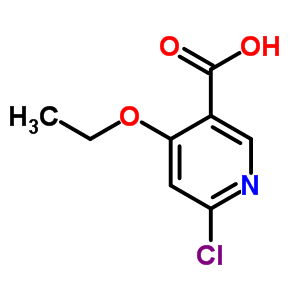 6-氯-4-乙氧基烟酸