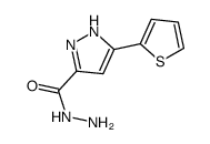 3-(噻吩-2-基)-1H-吡唑-5-甲酰肼 208885