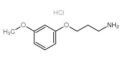 3-(3-methoxyphenoxy)propan-1-amine,hydrochloride