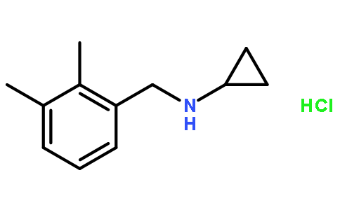 N-(2,3-二甲基苄基)环丙胺盐酸盐