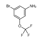 3-溴-5-(三氟甲氧基)苯胺