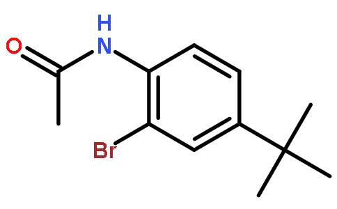 N-(2-bromo-4-tert-butylphenyl)acetamide